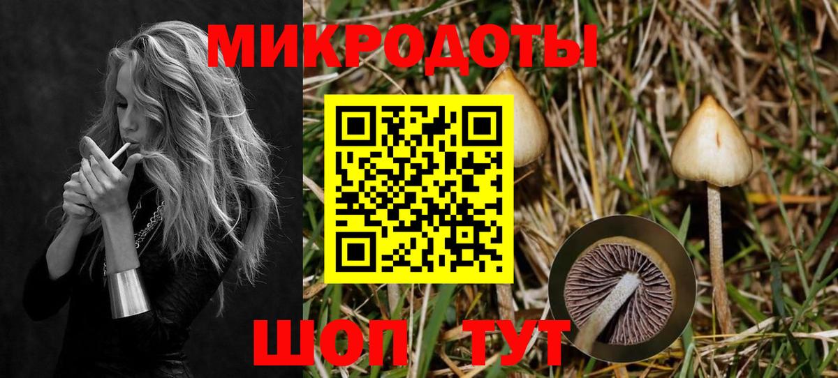 Галлюциногенные грибы Magic Shrooms Сорочинск